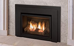 Stock Image - Enviro E20 Enviro Gas Insert - Chimney Doctors of Colorado