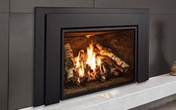 Stock Image - Enviro E44 Enviro Gas Insert - Chimney Doctors of Colorado