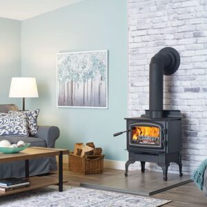 Stock Image - Regency - Classic F1150  Wood Stove Regency - Chimney Doctors of Colorado