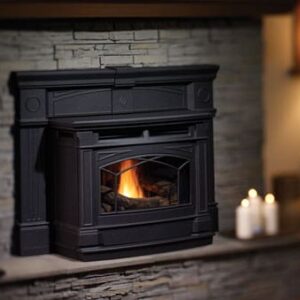 Stock Image - Hampton -  GCI60  Pellet Insert Hampton - Chimney Doctors of Colorado