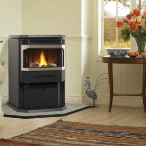 Stock Image - Regency - Greenfire - GF55  Pellet Stove Regency - Chimney Doctors of Colorado
