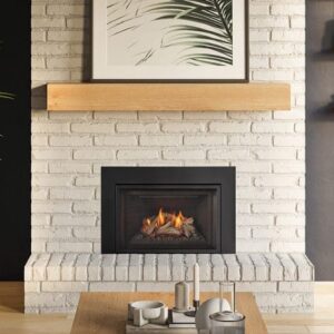Stock Image - Regency - Atmosphere Gi27LE Gas Insert Regency - Chimney Doctors of Colorado