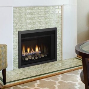 Stock Image - Regency - Horizon - HRI3E  Gas Insert Regency - Chimney Doctors of Colorado