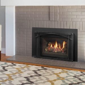 Stock Image - Regency - Liberty - LRI4E  Gas Insert Regency - Chimney Doctors of Colorado