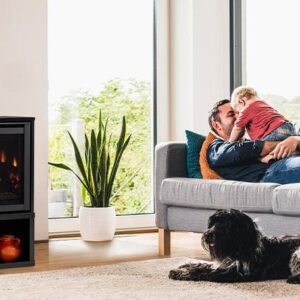 Stock Image - Majestic Ruby Freestanding Gas Fireplace Majestic Gas Fireplace - Chimney Doctors of Colorado