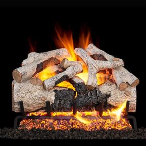 Stock Image - Peterson - Charred Burnt Aspen Real Fyre Gas Vented Gas Log Set Log Set & Burner - Chimney Doctors of Colorado