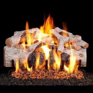 Stock Image - Peterson - Charred Mountain Birch Real Fyre Gas Vented Gas Log Set Log Set & Burner - Chimney Doctors of Colorado