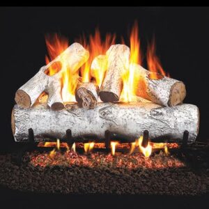 Stock Image - Peterson - White Birch Real Fyre Gas Vented Gas Log Set Log Set & Burner - Chimney Doctors of Colorado